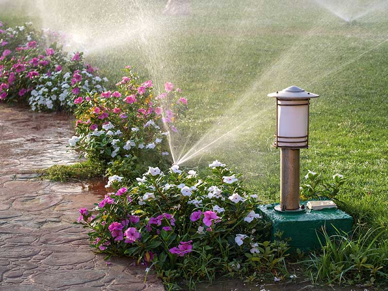 Landscaped residential lawn with brick walkway lined with flowerbeds and sprinklers running.